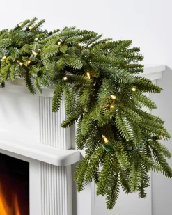BH Fraser Fir Foliage