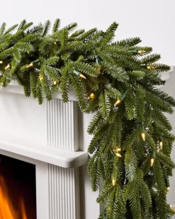 BH Fraser Fir Foliage