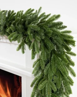 BH Fraser Fir Foliage