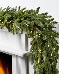 BH Fraser Fir Foliage