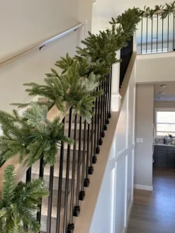 BH Fraser Fir Foliage