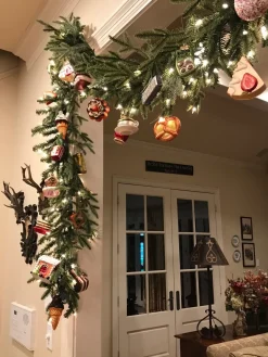 BH Fraser Fir Foliage