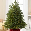 BH Fraser Fir® Tabletop Tree