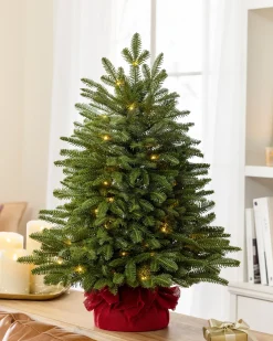 BH Fraser Fir® Tabletop Tree