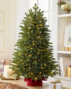 BH Fraser Fir® Tabletop Tree