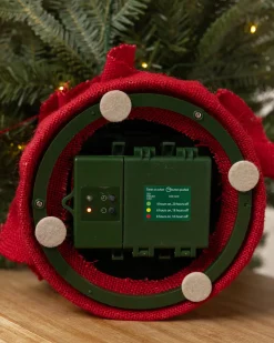 BH Fraser Fir® Tabletop Tree