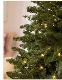 BH Fraser Fir® Tabletop Tree