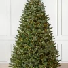 BH Fraser Fir Trees