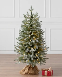 BH Frosted Balsam Fir® Tabletop Trees