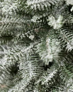 BH Frosted Balsam Fir® Tabletop Trees