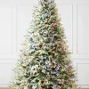 BH Frosted Balsam Fir Trees
