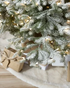 BH Frosted Balsam Fir Trees