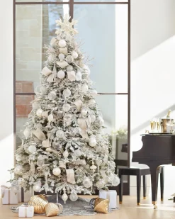 BH Frosted Balsam Fir Trees