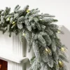 BH Frosted Fraser Fir® Foliage