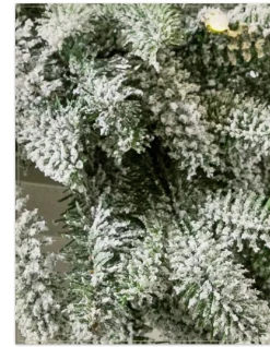BH Frosted Fraser Fir® Foliage