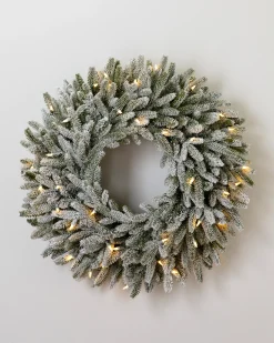 BH Frosted Fraser Fir® Foliage