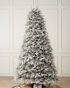 BH Frosted Fraser Fir® Trees