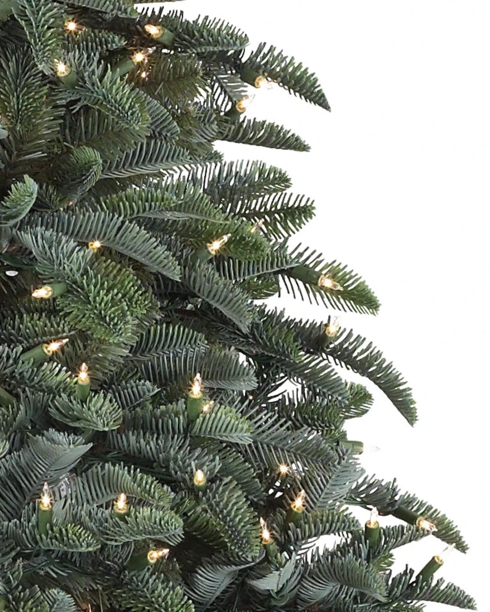 BH Noble Fir® ReNEW™