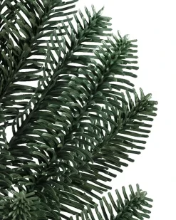 BH Noble Fir® ReNEW™