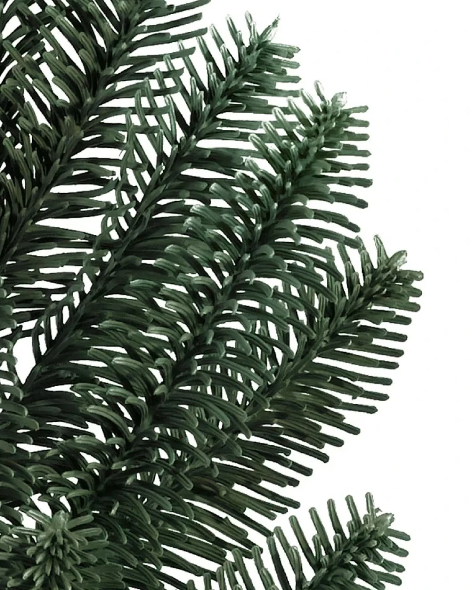 BH Noble Fir® ReNEW™