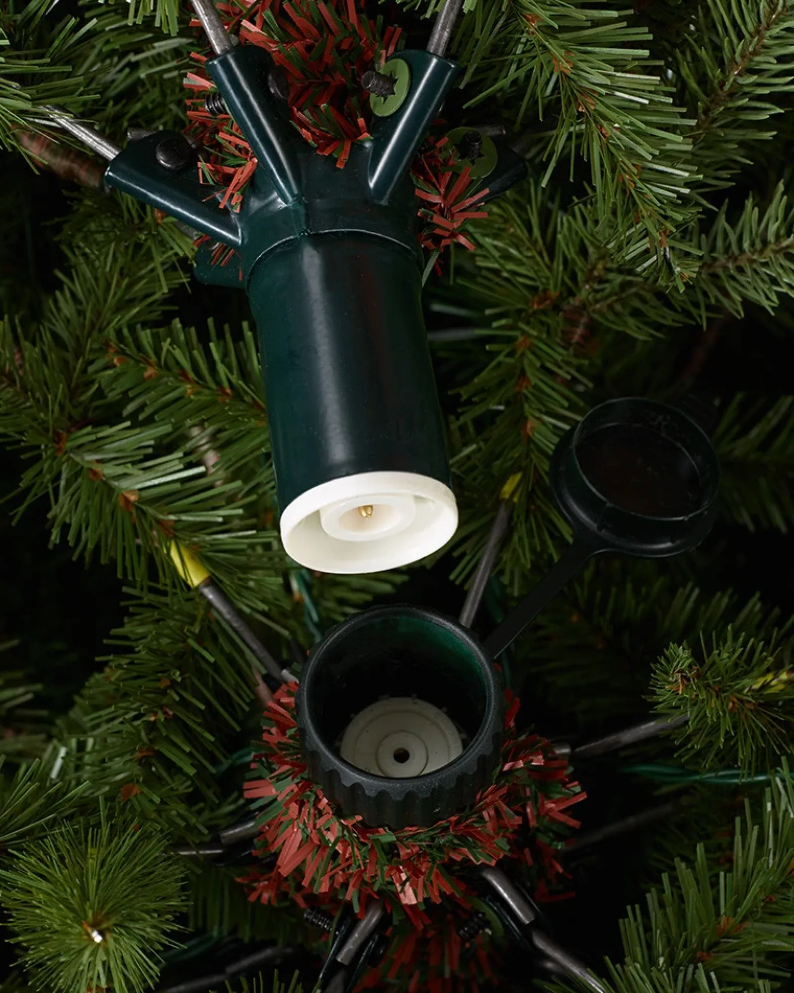 BH Noble Fir® ReNEW™