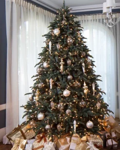 BH Noble Fir® ReNEW™