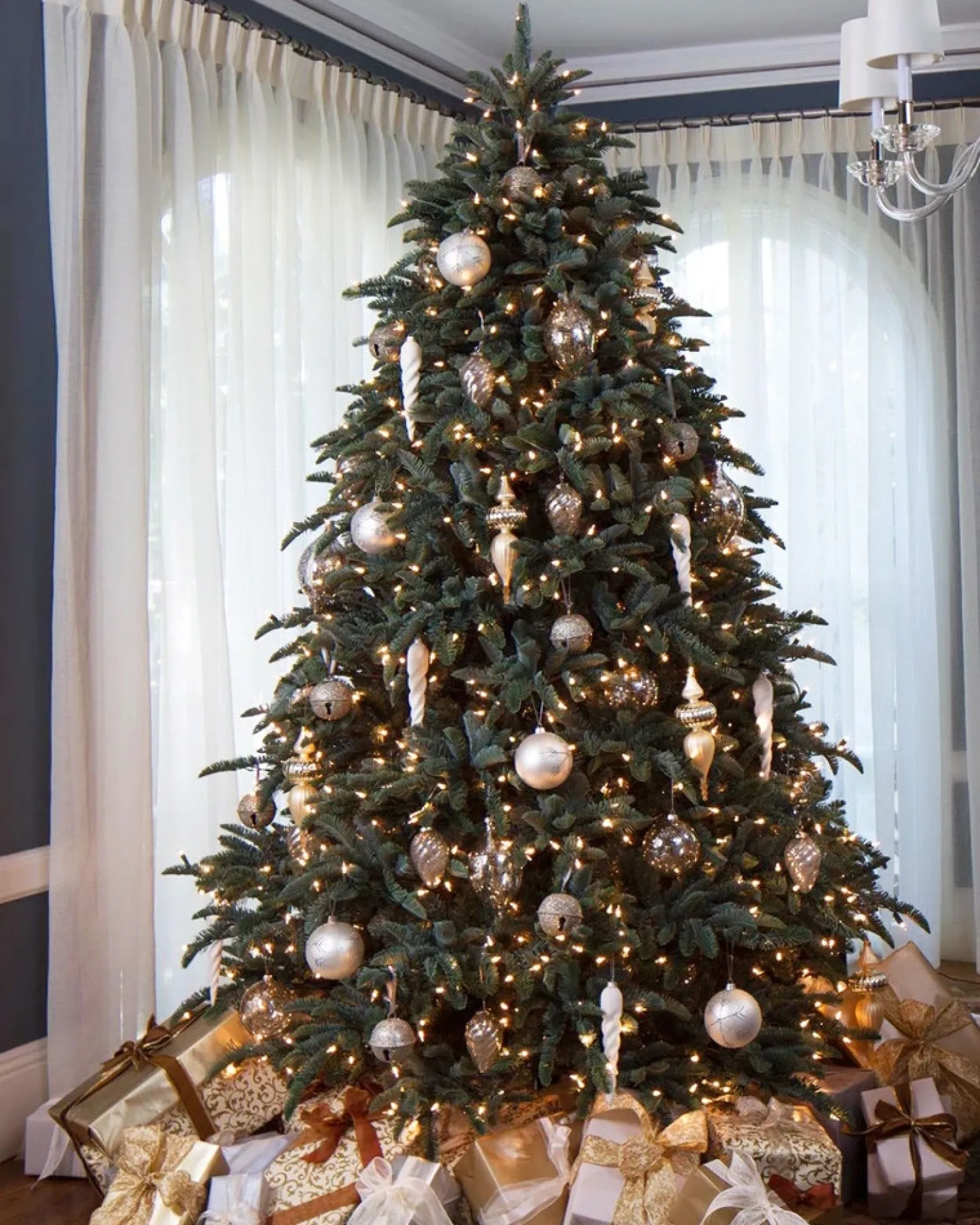 BH Noble Fir® ReNEW™