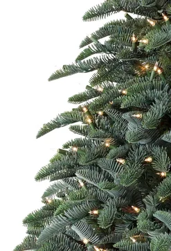 BH Noble Fir® ReNEW™