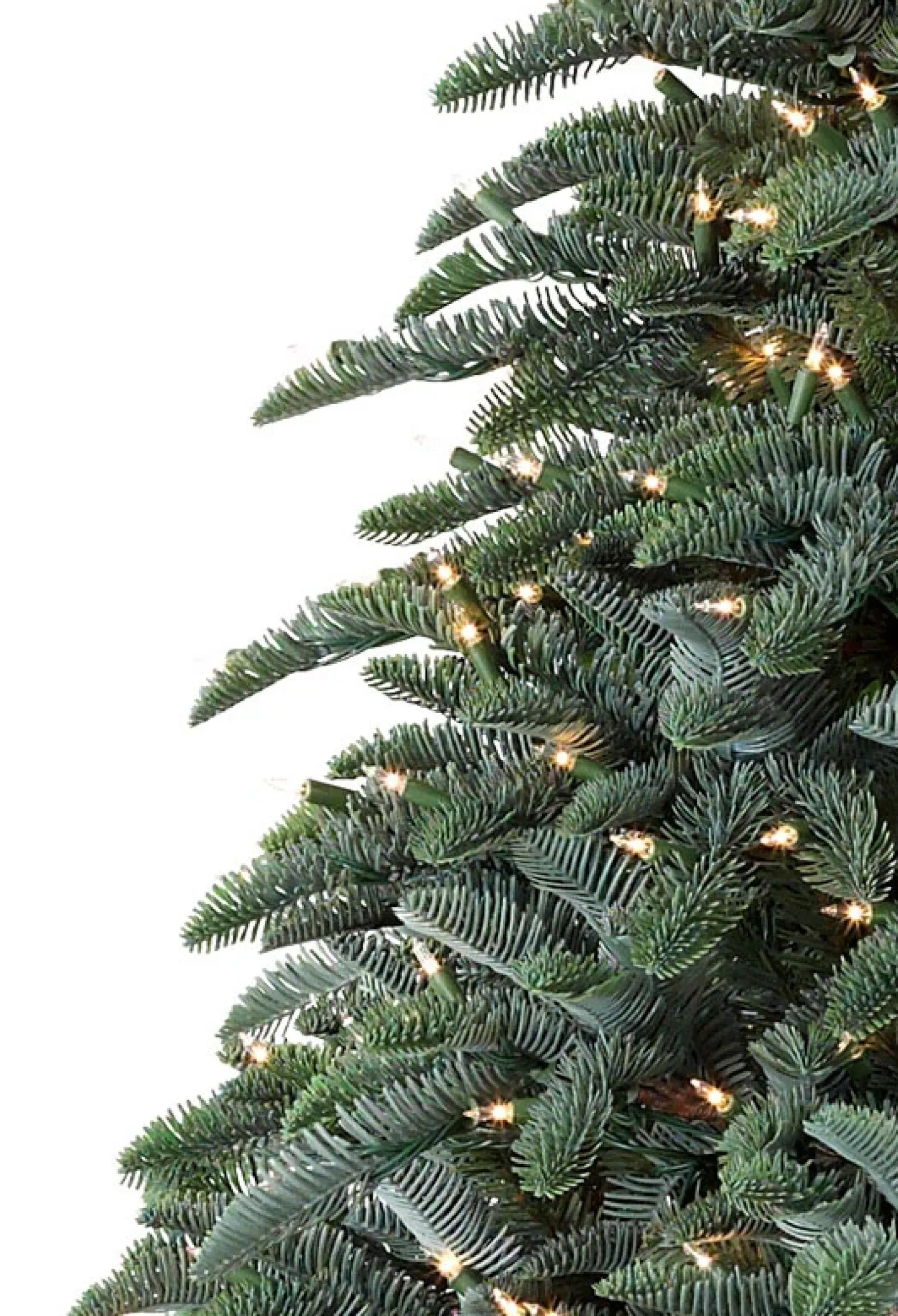 BH Noble Fir® ReNEW™