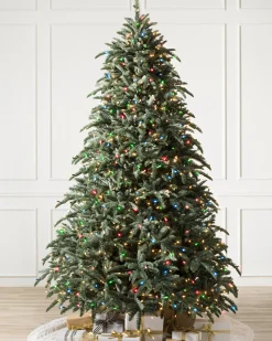 BH Noble Fir® Trees