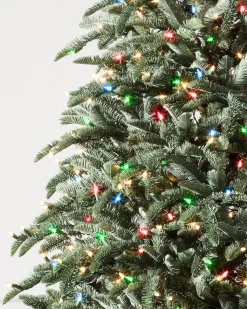 BH Noble Fir® Trees