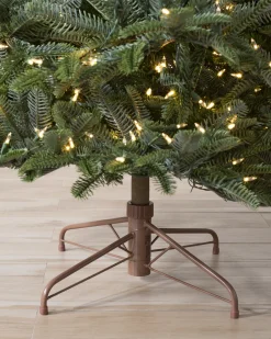 BH Nordmann Fir Trees