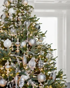 BH Nordmann Fir Trees