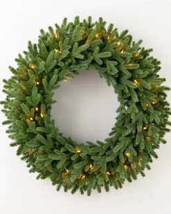 BH Norway Spruce Foliage