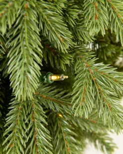 BH Norway Spruce Foliage