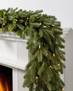 BH Norway Spruce Foliage