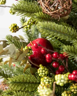 BH Norway Spruce Holiday Foliage