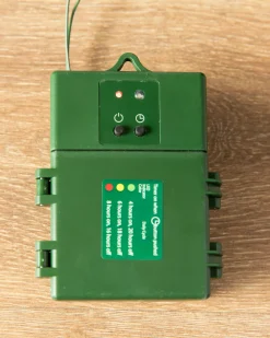 BH Norway Spruce Holiday Foliage