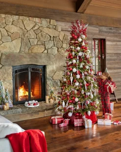 BH Norway Spruce Trees