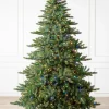 Biltmore® Spruce Trees