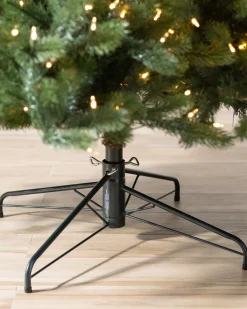 Biltmore® Spruce Trees