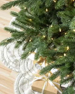 Biltmore® Spruce Trees