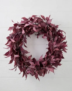 Burgundy Leaves Foliage