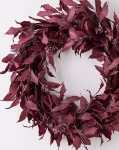 Burgundy Leaves Foliage