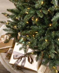 California Fir Trees