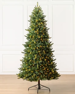 California Fir Trees