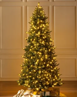 California Fir Trees