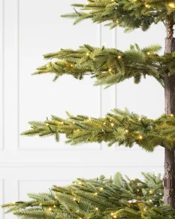 Calistoga Ornament® Trees