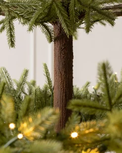 Calistoga Ornament® Trees