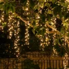 Cascading Tree Light Strings